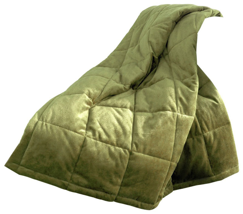 T155-10965090X090SG By Ellery Homestyles ComfortTech 3M Thinsulate Albany Microfiber Full/Queen Blanket, Sage [Kitchen]