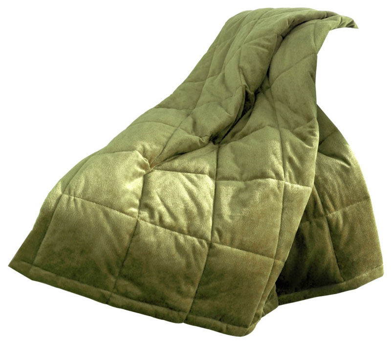 T155-10965108X090SG By Ellery Homestyles ComfortTech 3M Thinsulate Albany Microfiber King Blanket, Sage [Kitchen]