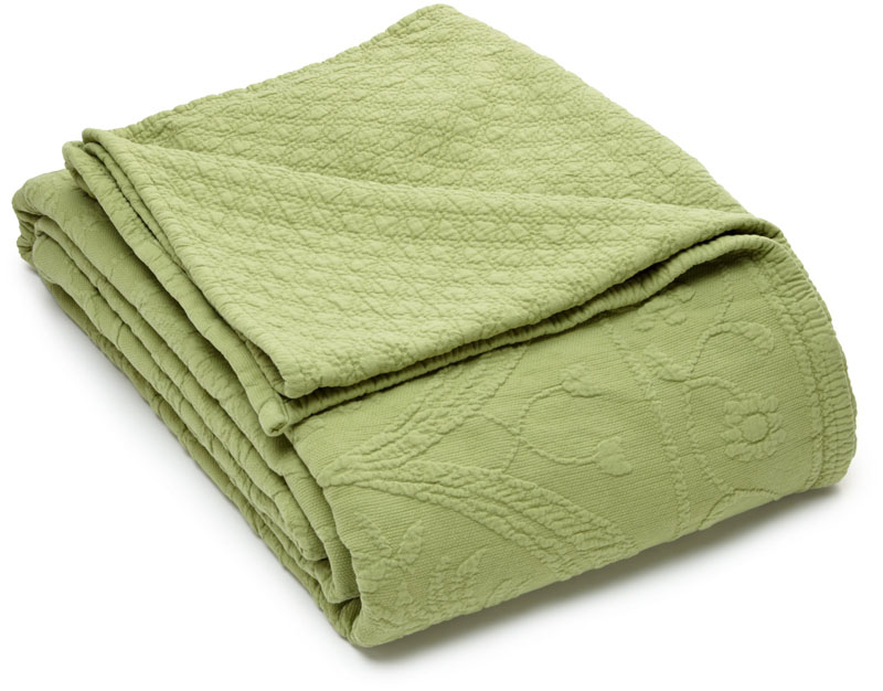 T155-11182TWINBDFRN By Ellery Homestyles King Charles Matelasse Twin Bedspread, Fern [Kitchen]
