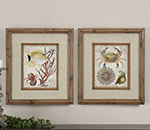 C111-34032 By Uttermost Tropical Waters Framed Art Set/2