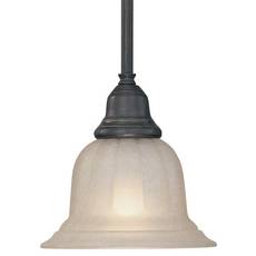 C170-649-78 By Dolan Designs-Richland Collection Bolivian Finish Mini Pendant