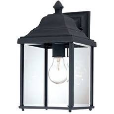 C170-935-50 By Dolan Designs-Charleston Collection Black Finish 1 Light Wall
