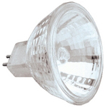 C171-0455600 By Westinghouse - Flood Finish Bulb