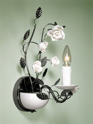 C195-WCT011-1