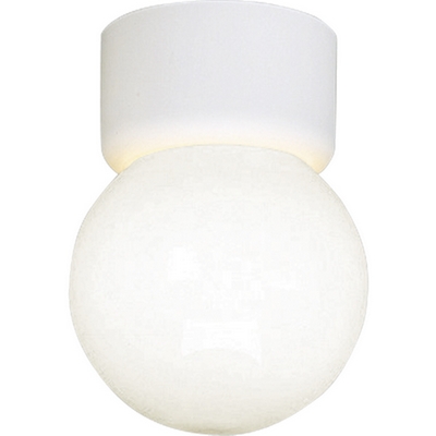 C197-P3213-30 By Progress Lighting-CTC-Acrylic Globe Collection White Finish 1-60W Med Close