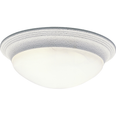 C197-P3689-30 By Progress Lighting-CTC-Acrylic Globe Collection White Finish 2-60W Close To Clg 