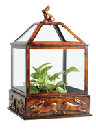 Conservatories & Terrariums