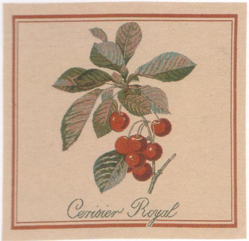 D155-108-18*18 Cerise Royale (918) Tapestries: Tapestry gallery - Over 1500 tapestries and tapestry decorating accessories - Finest quality - Wide selection - Competitive prices - Source for wholesal