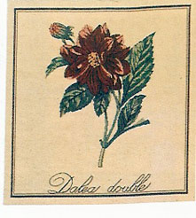 D155-118-14*14 Dalea (876) Tapestries: Tapestry gallery - Over 1500 tapestries and tapestry decorating accessories - Finest quality - Wide selection - Competitive prices - Source for wholesale tapest