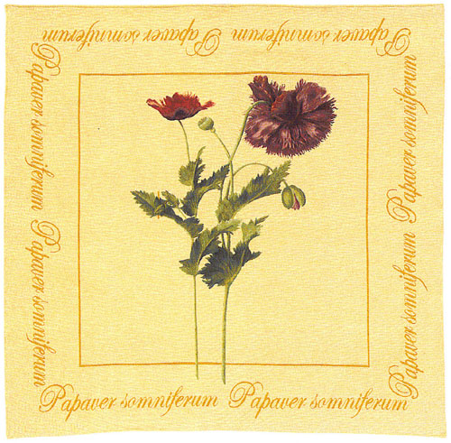 D155-1233-58*58 Redoute Throw (9808/10) Tapestries: Tapestry gallery - Over 1500 tapestries and tapestry decorating accessories - Finest quality - Wide selection - Competitive prices - Source for who