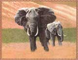 D155-232-56*76 Elephants Tapestries: Tapestry gallery - Over 1500 tapestries and tapestry decorating accessories - Finest quality - Wide selection - Competitive prices - Source for wholesale tapestry