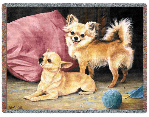 D155-2577-54*70 Chihuahua (Dogs) Tapestries: Tapestry gallery - Over 1500 tapestries and tapestry decorating accessories - Finest quality - Wide selection - Competitive prices - Source for wholesale 