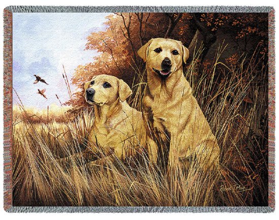 D155-2581-54*70 Yellow Labrador (Dogs) Tapestries: Tapestry gallery - Over 1500 tapestries and tapestry decorating accessories - Finest quality - Wide selection - Competitive prices - Source for whol