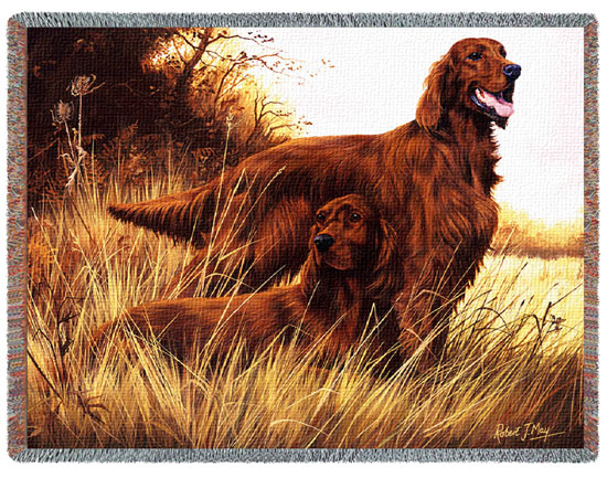 D155-2586-54*70 Irish Setter (Dogs) Tapestries: Tapestry gallery - Over 1500 tapestries and tapestry decorating accessories - Finest quality - Wide selection - Competitive prices - Source for wholesa