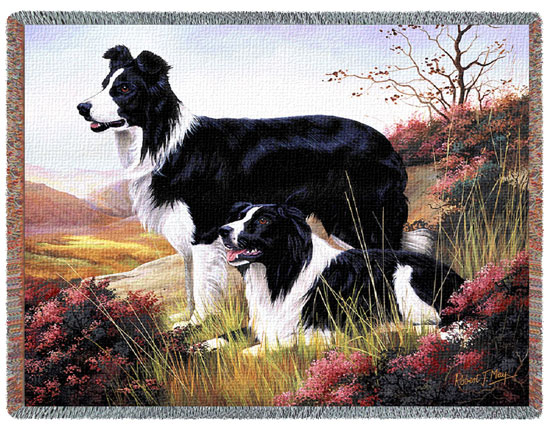 D155-2592-54*70 Border Collie (Dogs) Tapestries: Tapestry gallery - Over 1500 tapestries and tapestry decorating accessories - Finest quality - Wide selection - Competitive prices - Source for wholes