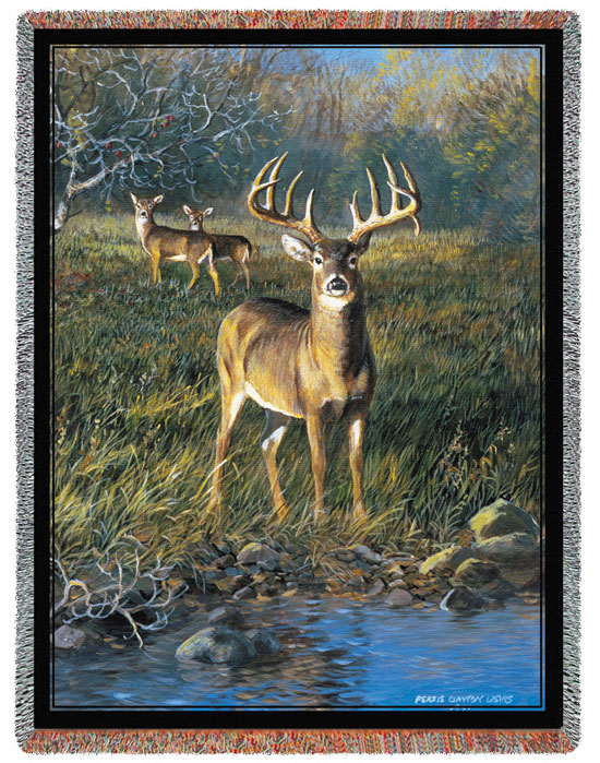 D155-2637-70*54 First Light Deer (Lodge) discontinued Tapestries: Tapestry gallery - Over 1500 tapestries and tapestry decorating accessories - Finest quality - Wide selection - Competitive prices - 