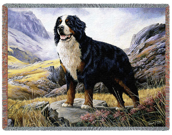 D155-2971-54*70 Bernese Mountain Dog (Dogs) Tapestries: Tapestry gallery - Over 1500 tapestries and tapestry decorating accessories - Finest quality - Wide selection - Competitive prices - Source for