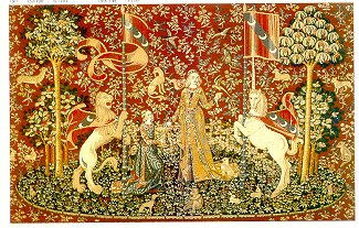 D155-35-53*76 Taste Tapestries: Tapestry gallery - Over 1500 tapestries and tapestry decorating accessories - Finest quality - Wide selection - Competitive prices - Source for wholesale tapestry 