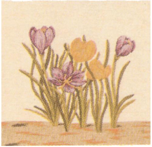 D155-367-14*14 Floral Cushion 1268 Tapestries: Tapestry gallery - Over 1500 tapestries and tapestry decorating accessories - Finest quality - Wide selection - Competitive prices - Source for wholesal