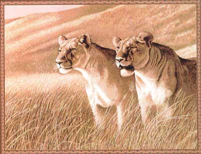 D155-484-56*76 Lions Tapestries: Tapestry gallery - Over 1500 tapestries and tapestry decorating accessories - Finest quality - Wide selection - Competitive prices - Source for wholesale tapestry 