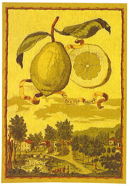 D155-697-76*54 Lemon - 1 Tapestries: Tapestry gallery - Over 1500 tapestries and tapestry decorating accessories - Finest quality - Wide selection - Competitive prices - Source for wholesale tapestry