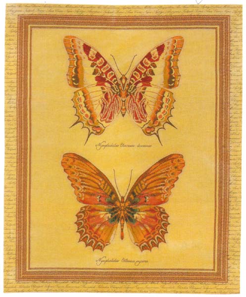 D155-729-69*55 Papillon Tapestries: Tapestry gallery - Over 1500 tapestries and tapestry decorating accessories - Finest quality - Wide selection - Competitive prices - Source for wholesale tapestry 