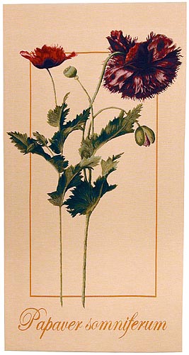 D155-774-53*27 Papaver (9808) Tapestries: Tapestry gallery - Over 1500 tapestries and tapestry decorating accessories - Finest quality - Wide selection - Competitive prices - Source for wholesale tap