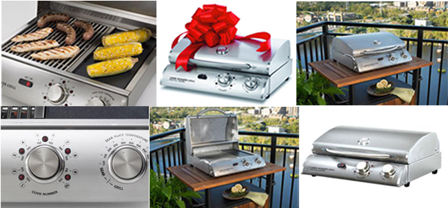 D169-LG20i/e By Outdoor GreatRoom-Stainless Steel Finish 20" Electric Grill in Stainless Steel